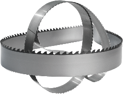    Segmetal